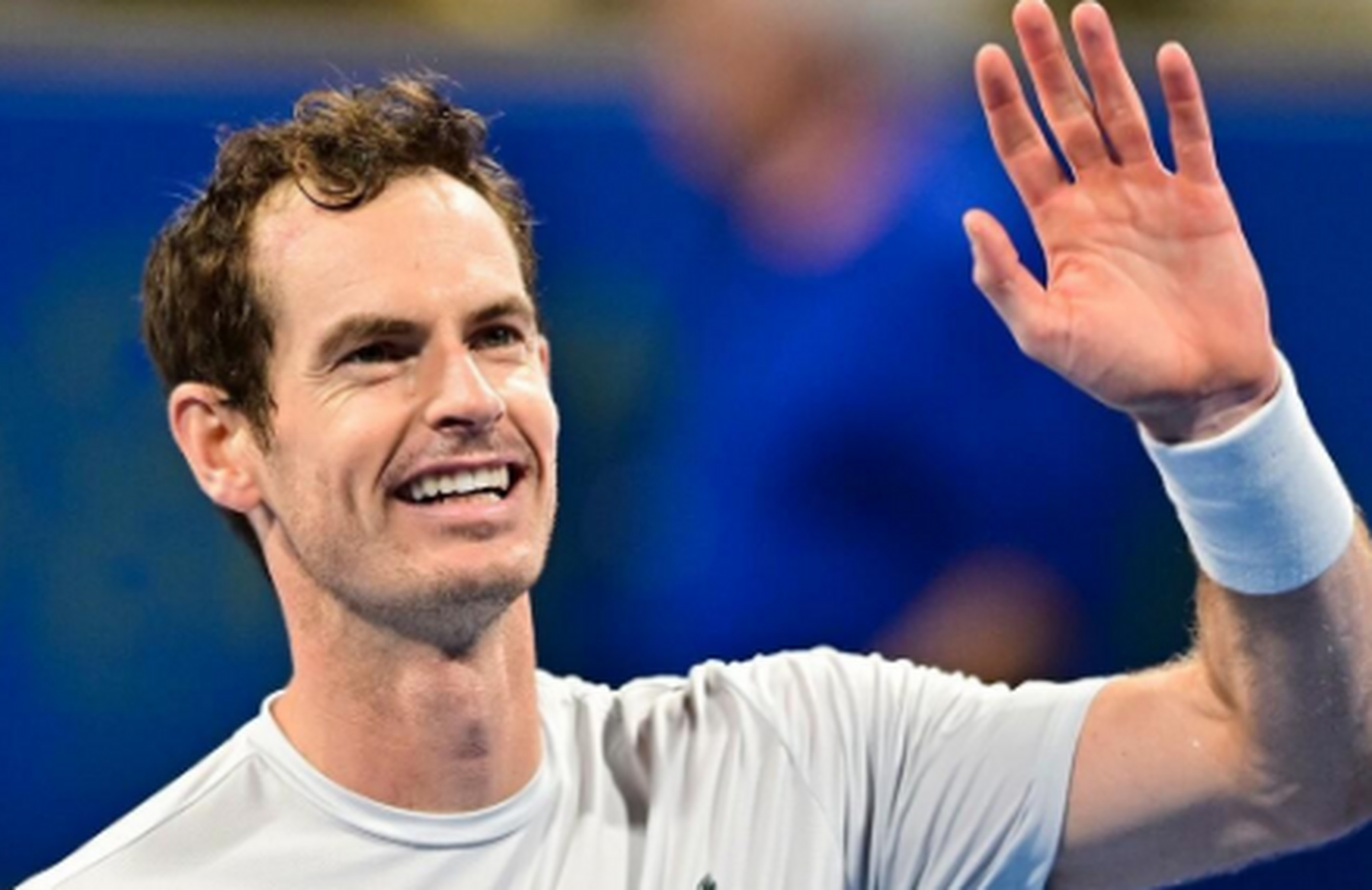 关于戴维斯杯横扫ATP总决赛，穆雷惊艳四座的信息